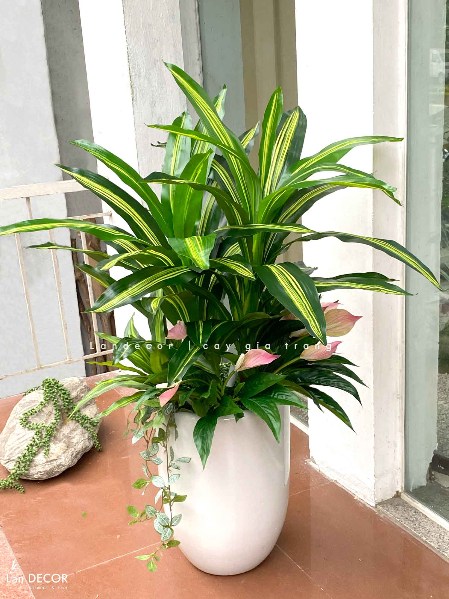 Cây Giả Decor- Cây Thiết Mộc Lan Giả Tiểu Cảnh (90cm)- LC2398