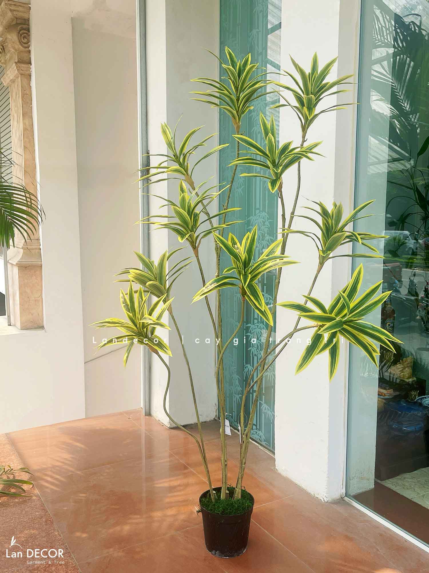 Cây Giả - Cây Thiết Mộc Lan Giả Decor Nội Thất Căn Hộ (160cm)- LC3737-VÀNG MIX