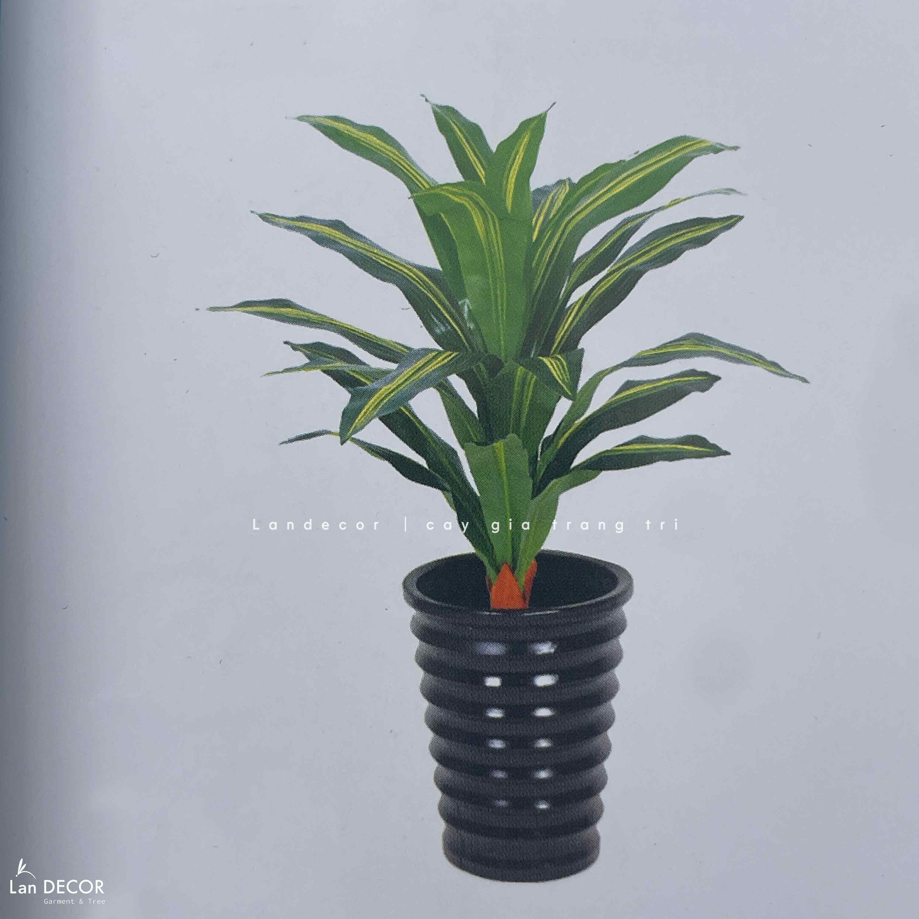 Cây Giả Decor- Cây Thiết Mộc Lan Giả Tiểu Cảnh (90cm)- LC2398