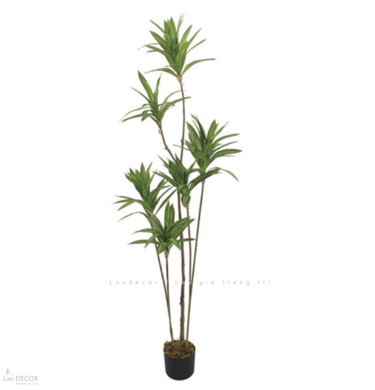 Cây Giả Trang Trí- Cây Thiết Mộc Lan Giả Decor Không Gian Độc Đáo (160cm)- LC3737-1-XANH