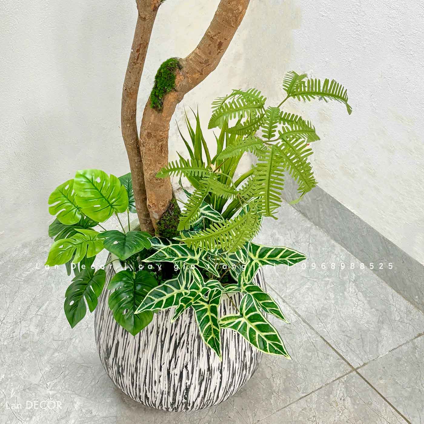 Cây Linh Sơn Trang Trí Không Gian Xanh Mát (180cm)- CC1039