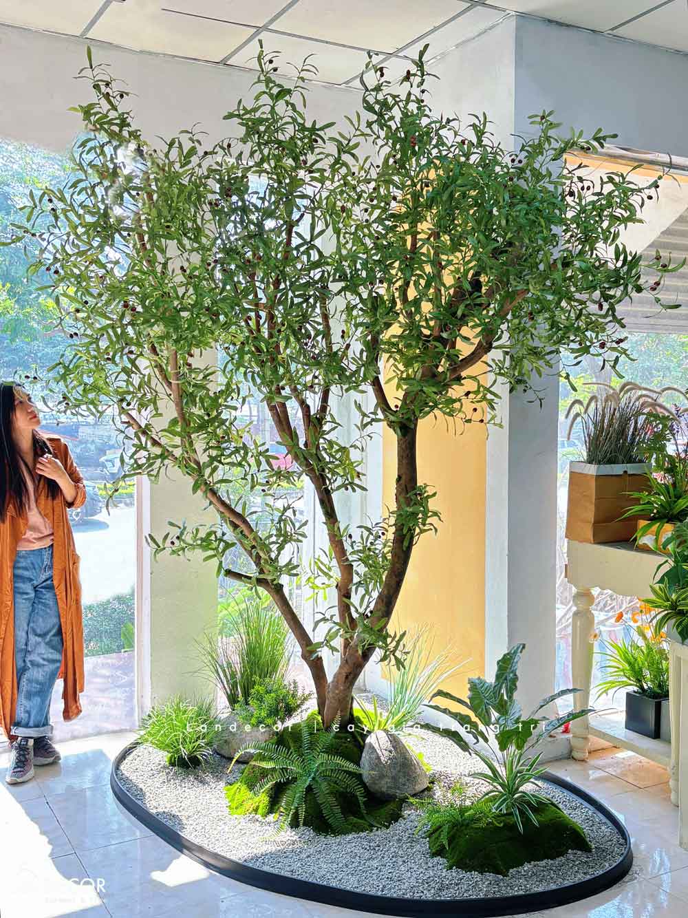Cây Giả Tiểu Cảnh- Cây Olive Giả Trang Trí Tiểu Cảnh Cho Không Gian Lớn (285cm)- CC1222