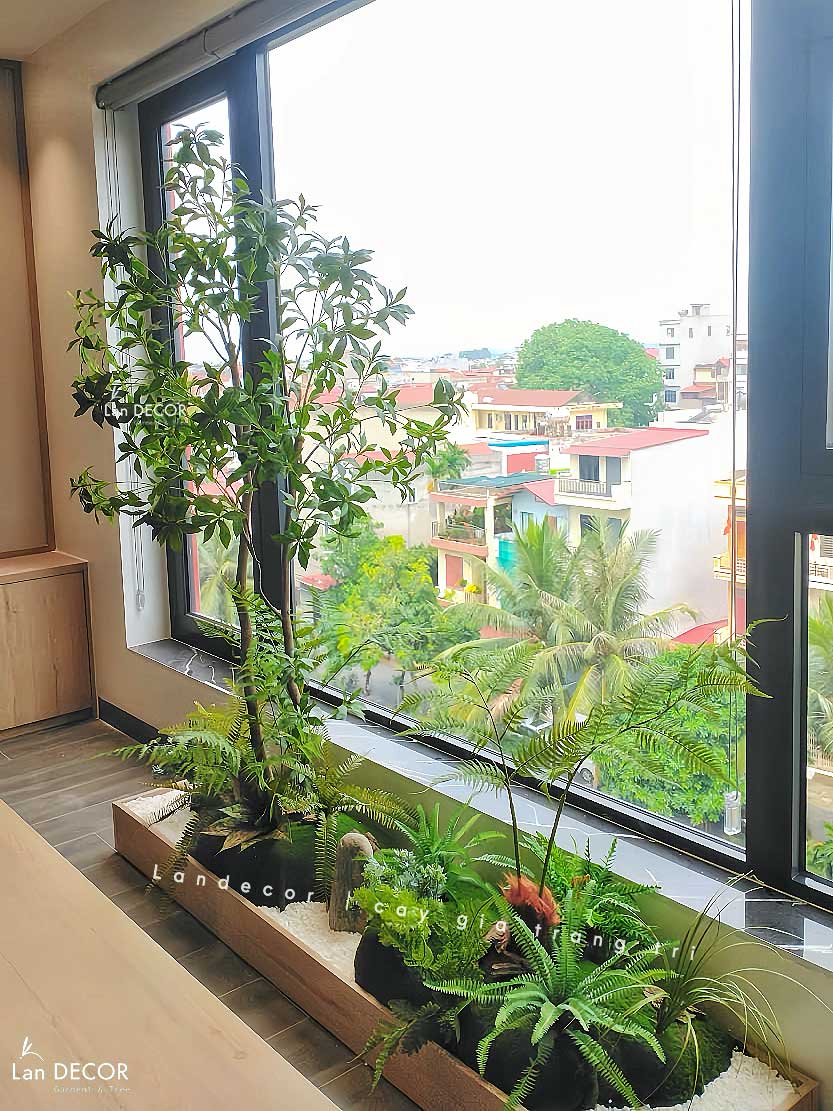 Thi Công Tiểu Cảnh Giả - Tiểu Cảnh Cây Tùng Bonsai, Bồn Cây Nam Thiên Trúc Thiết Kế Phòng Trà Nhật