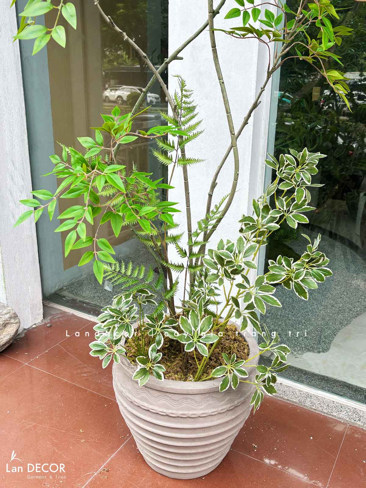 Nam Thiên Trúc Giả- Cây Nam Thiên Trúc Giả Decor Căn Hộ Hiện Đại (190cm)- LC3047-5