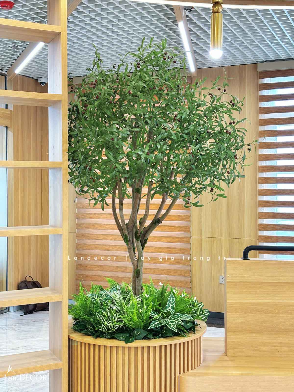 Thiết Kế, Thi Công Tường Cây Giả, Tường Rêu Giả, Bồn Cây Tiểu Cảnh Văn Phòng Tây Tựu