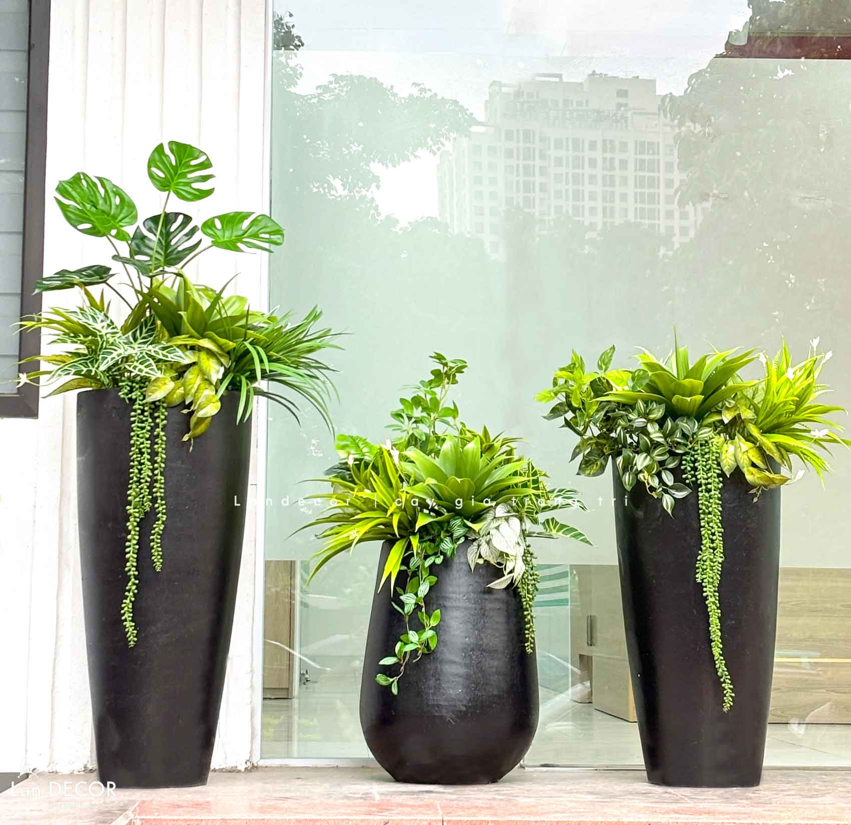 Concept Chậu Cây Tiểu Cảnh Decor Sảnh Văn Phòng, Trang Trí Cửa Hiệu, Quán Cafe