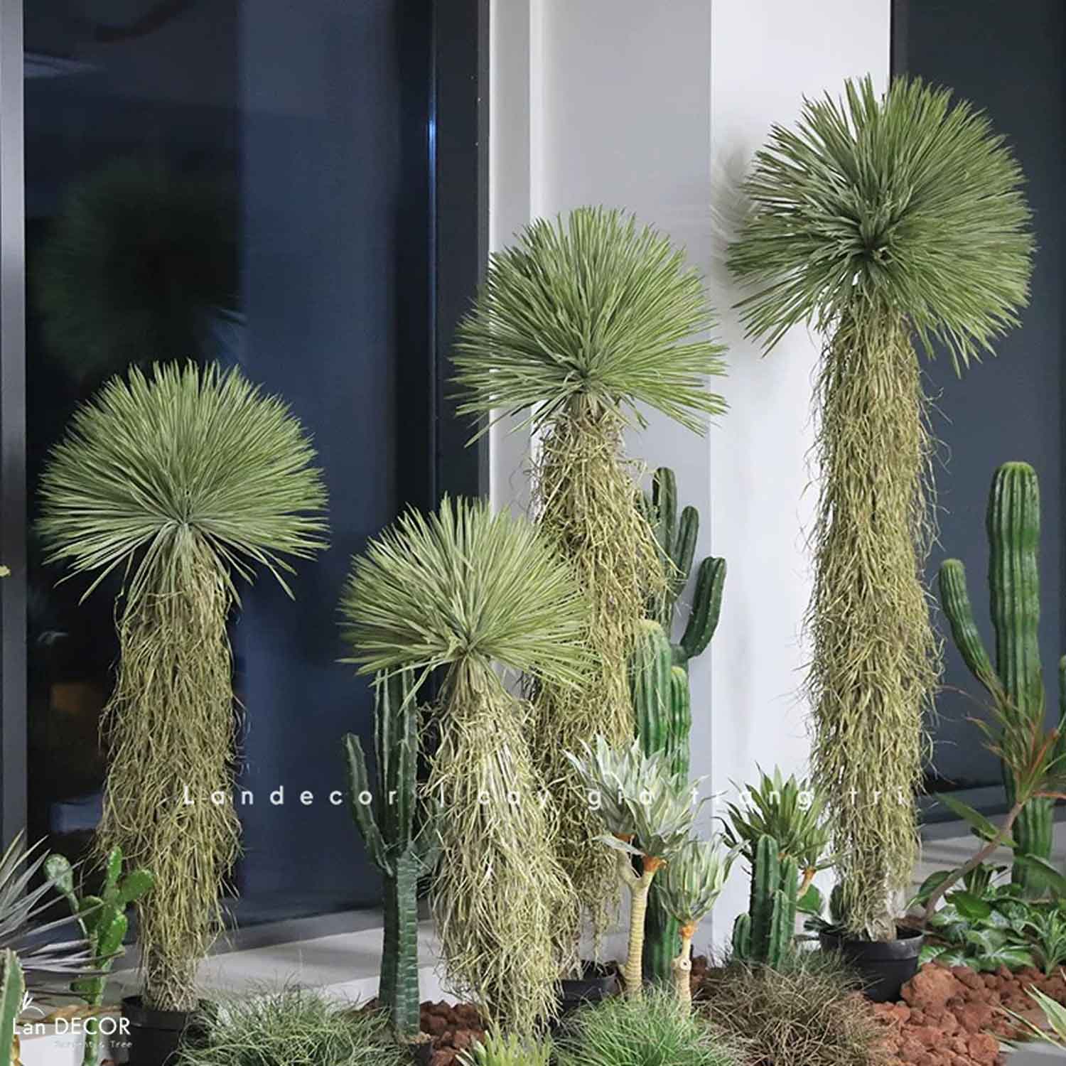 Cây Giả - Cây Yucca Lá Rủ Giả Trang Trí Nội Thất Hiện Đại, Độc Đáo (130cm)- LC3853