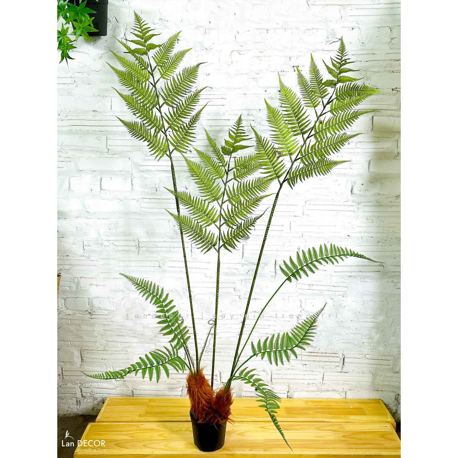 Dương Xỉ Giả Trang Trí- Dương Xỉ Culi Tiểu Cảnh Thiết Kế Không Gian Xanh (155cm)- CC1122