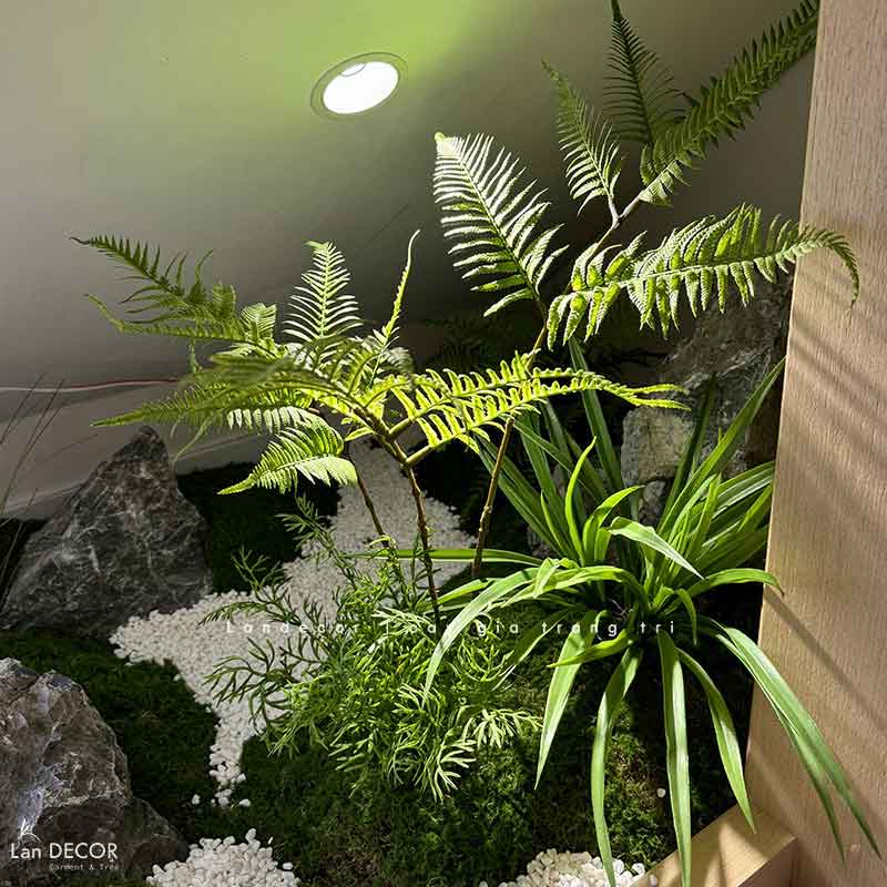 Dương Xỉ Giả- Dương Xỉ Culi Tiểu Cảnh Cây Giả Tự Nhiên (150cm)- CC1065