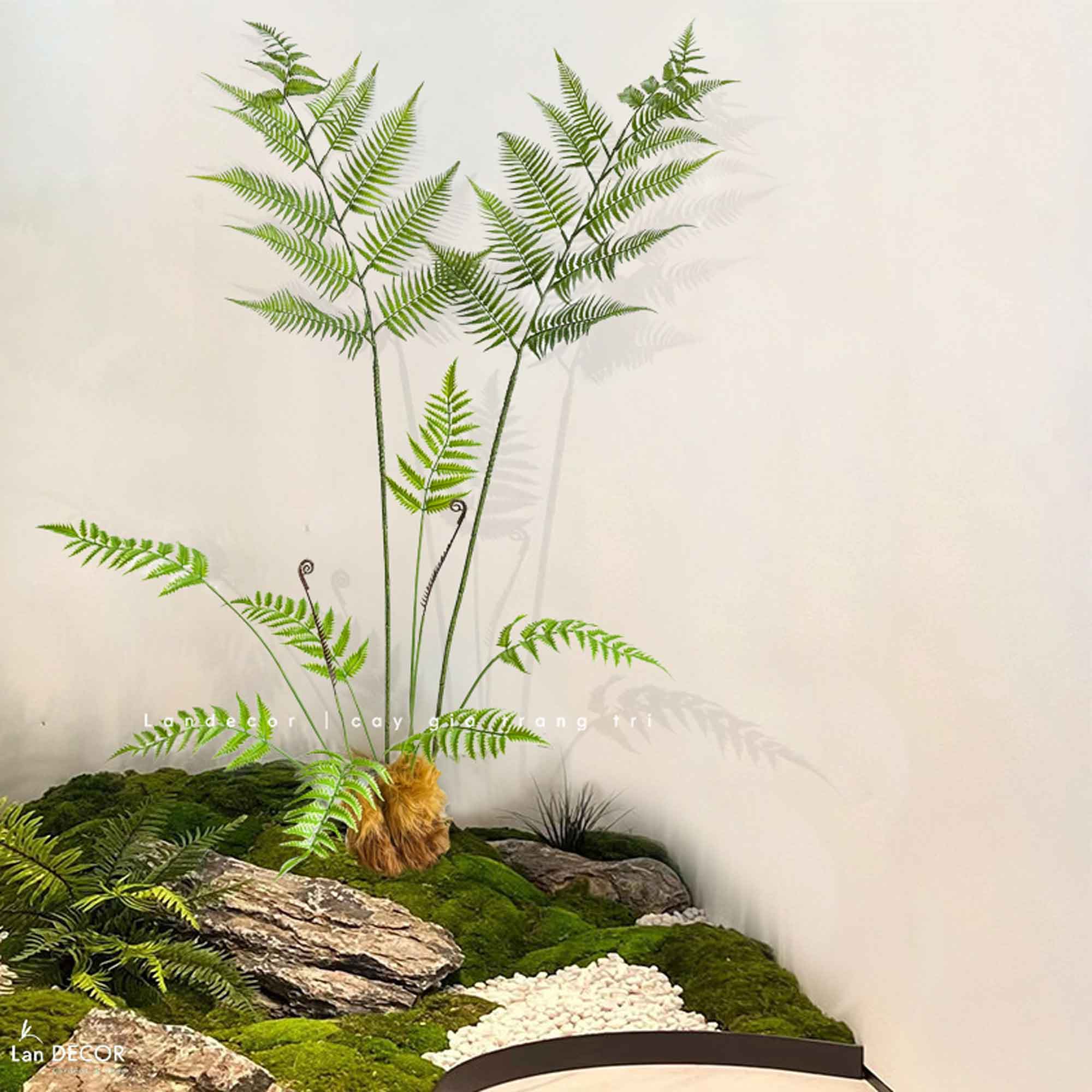 Tiểu Cảnh Cây Giả - Bồn Dương Xỉ Culi Thiết Kế Lan Decor (160x120x165cm)- RC078