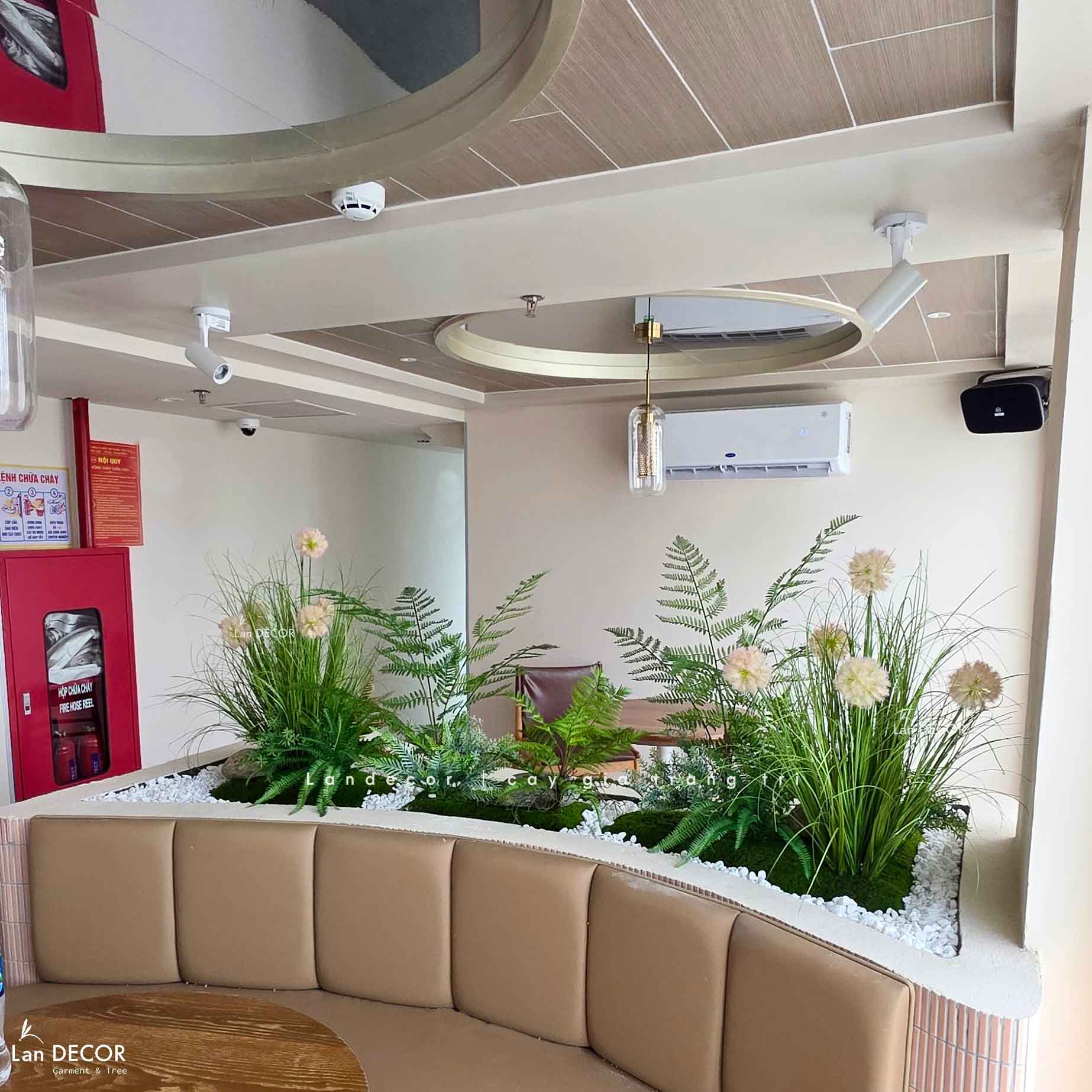 Thiết Kế, Thi Công Tiểu Cảnh Rêu Hoa Lau Giả Decor Spa, Khách Sạn, Nâng Tầm Không Gian