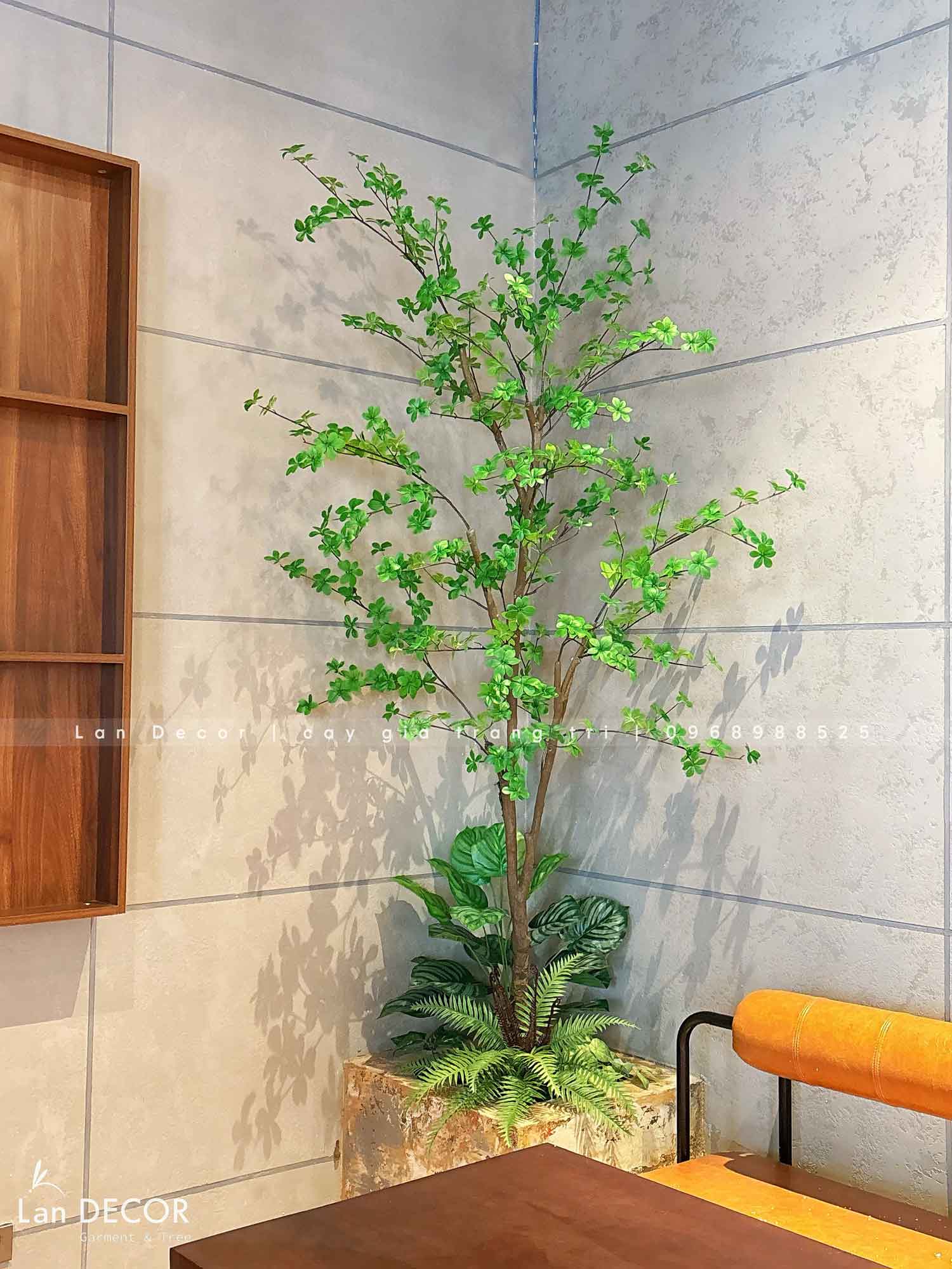 Cây Thạch Nam Tiểu Cảnh Trang Trí Quán Cafe (220cm)- CC1037