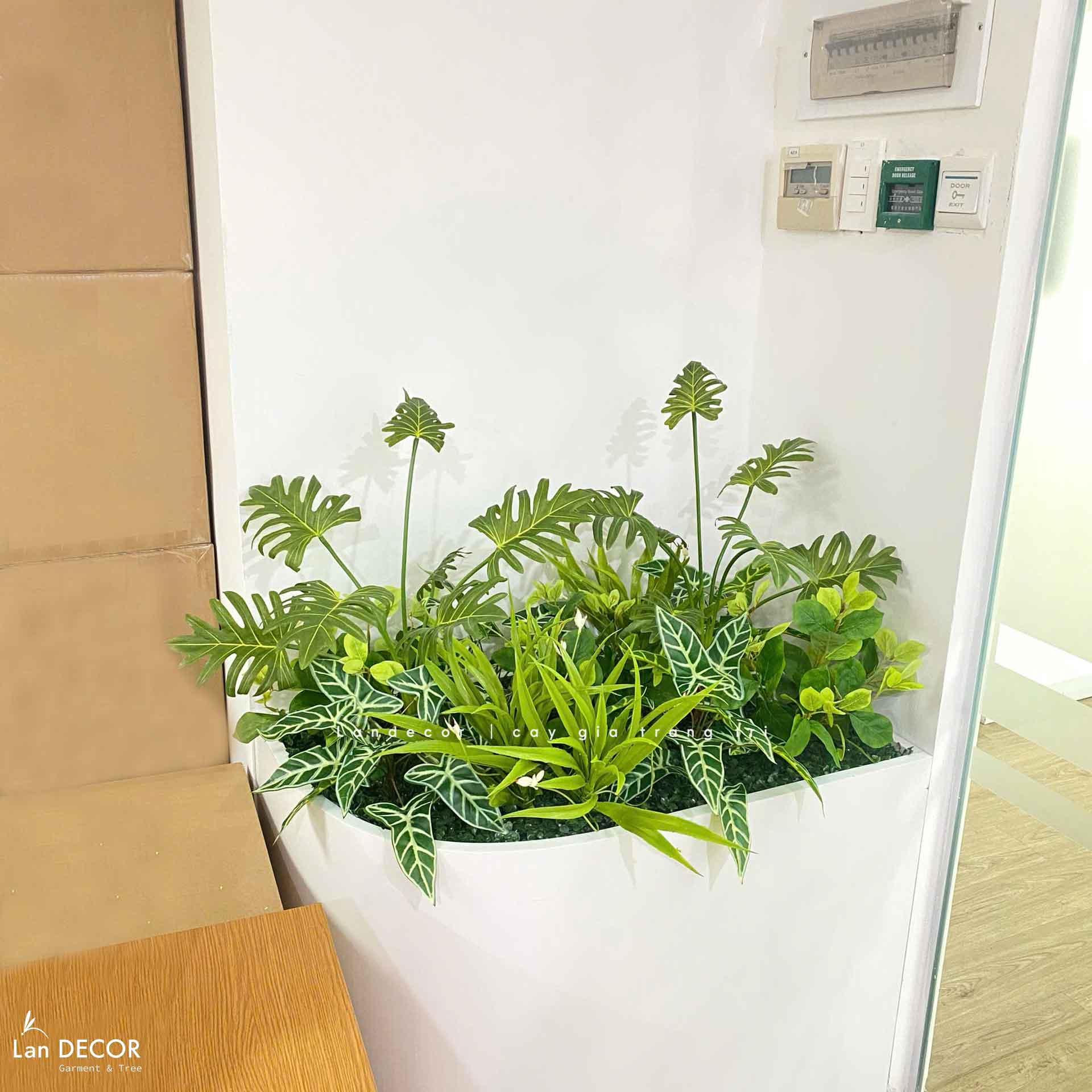 Tiểu Cảnh Cây Giả- Mẫu Tiểu Cảnh Cây Cảnh Giả Trang Trí Văn Phòng Xanh- CC1181-SG