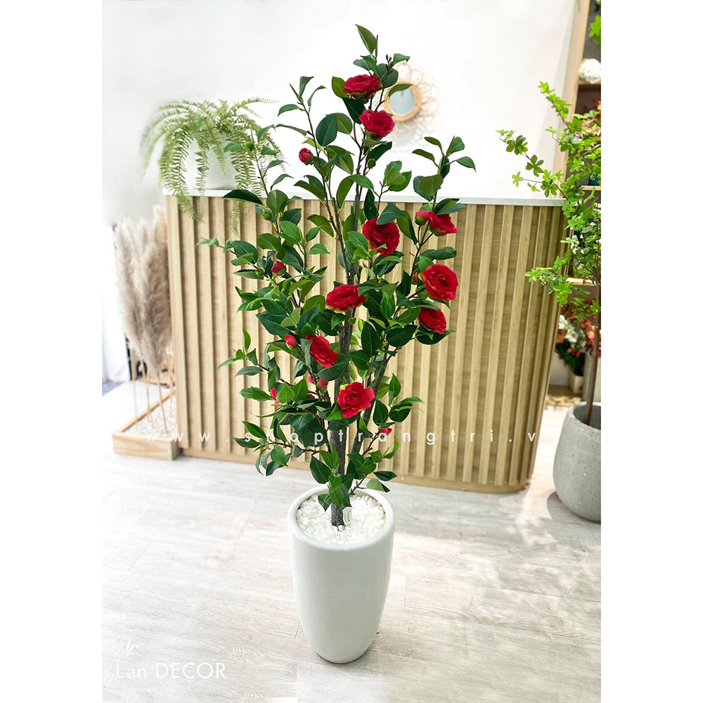 CÂY TRÀ ĐỎ 1M40 TRANG TRÍ ĐẸP LAN DECOR - LC3011