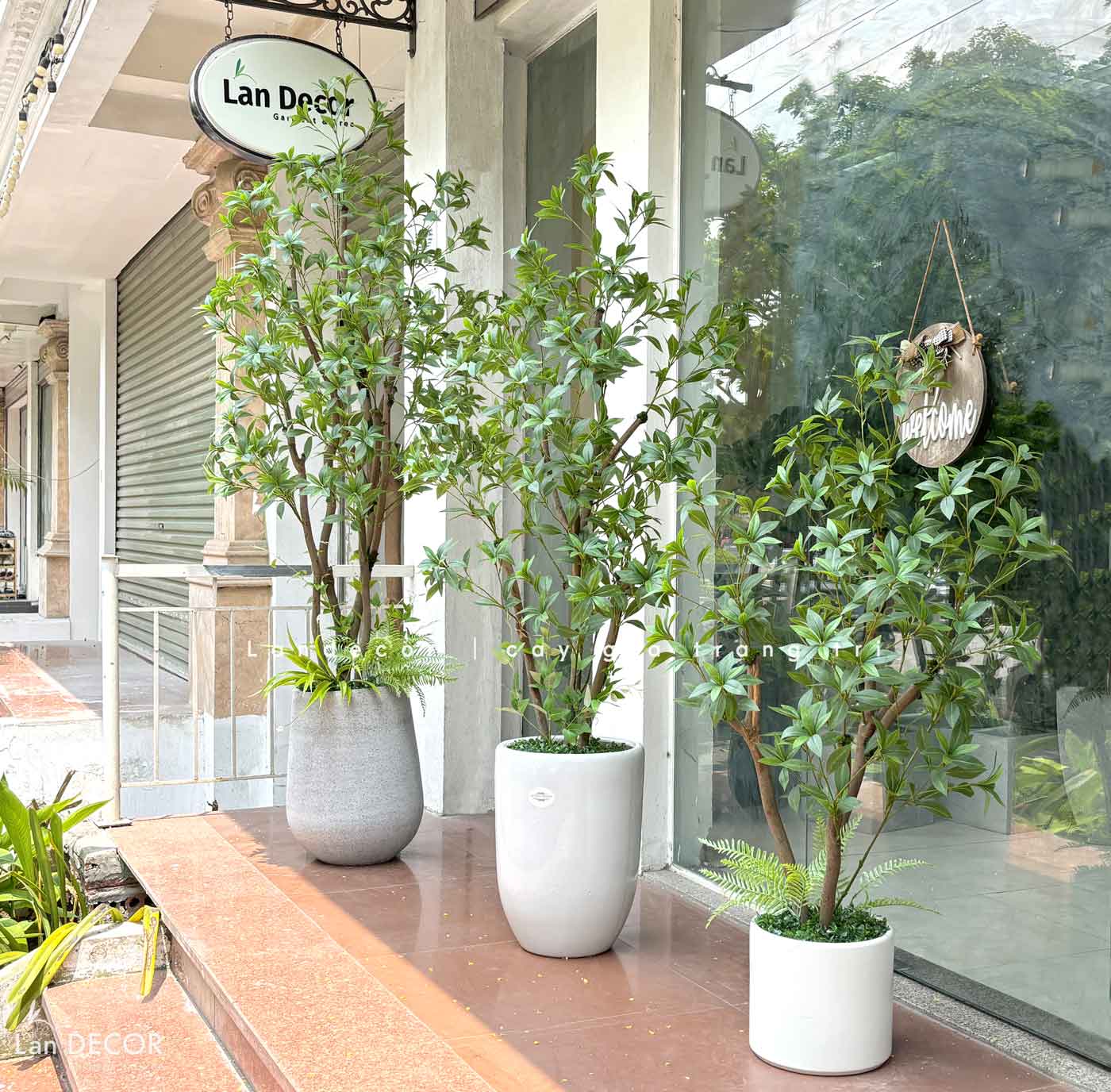 Cây Lá Giả- Cây Asebi Giả Trang Trí Văn Phòng (190cm)- CC1058