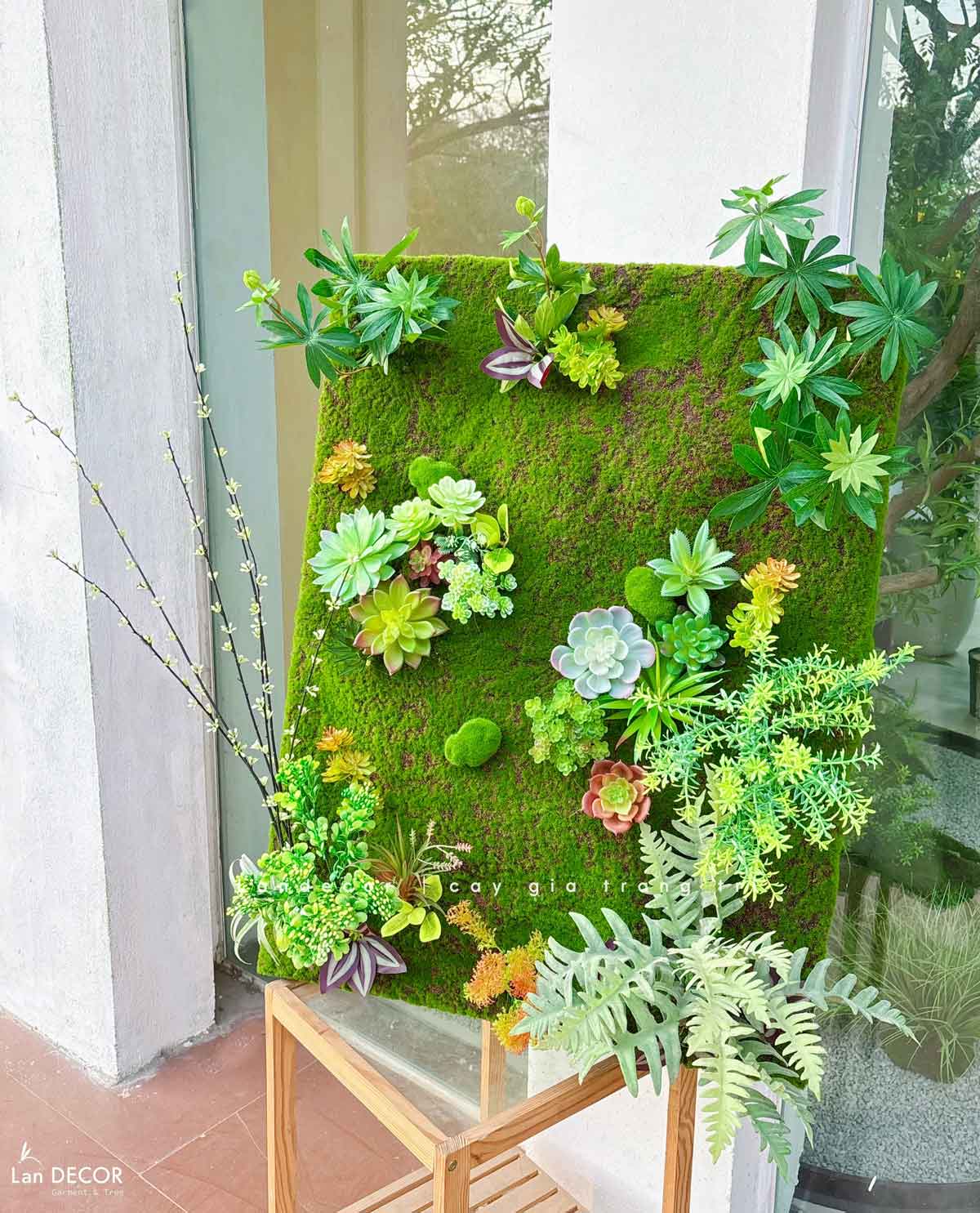 Tranh Rêu Treo Tường - Tranh Rêu Sen Đá Treo Tường Thiết Kế Lan Decor (80x60cm)- KTR018