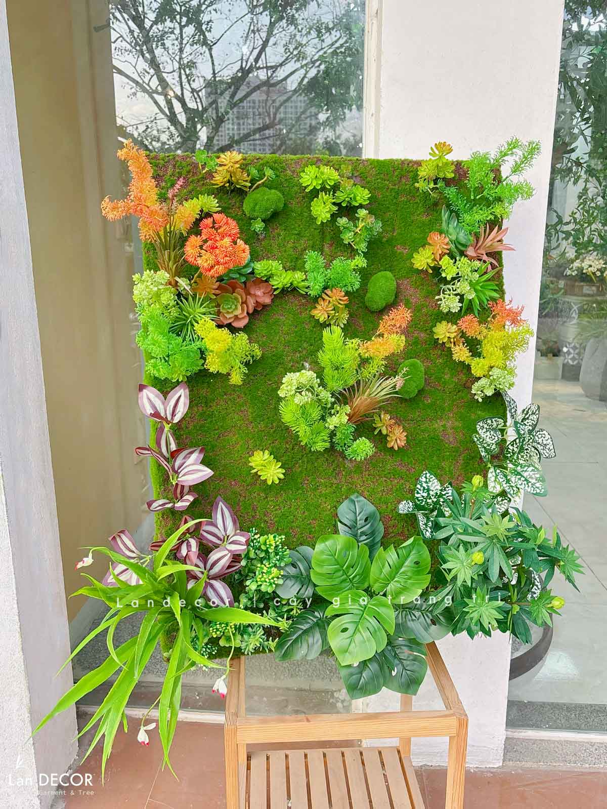 Tranh Rêu Treo Tường - Tranh Rêu Sen Đá Treo Tường Thiết Kế Lan Decor (80x60cm)- KTR018