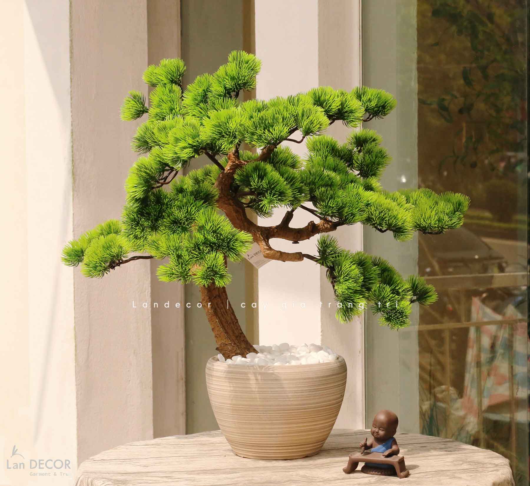 Cây Bonsai Thiết Kế - Cây Tùng Bonsai Giả Trang Trí (60cm)- CC1271