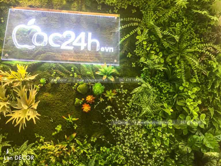 CÔNG TRÌNH TƯỜNG CÂY CỬA HÀNG MAC 24H THÁI HÀ- TC304