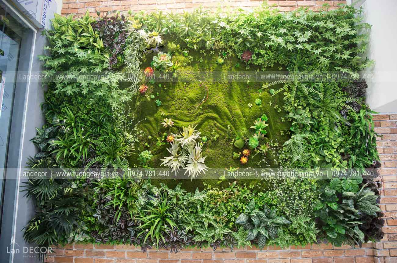 CÔNG TRÌNH TƯỜNG CÂY CỬA HÀNG MAC 24H THÁI HÀ- TC304