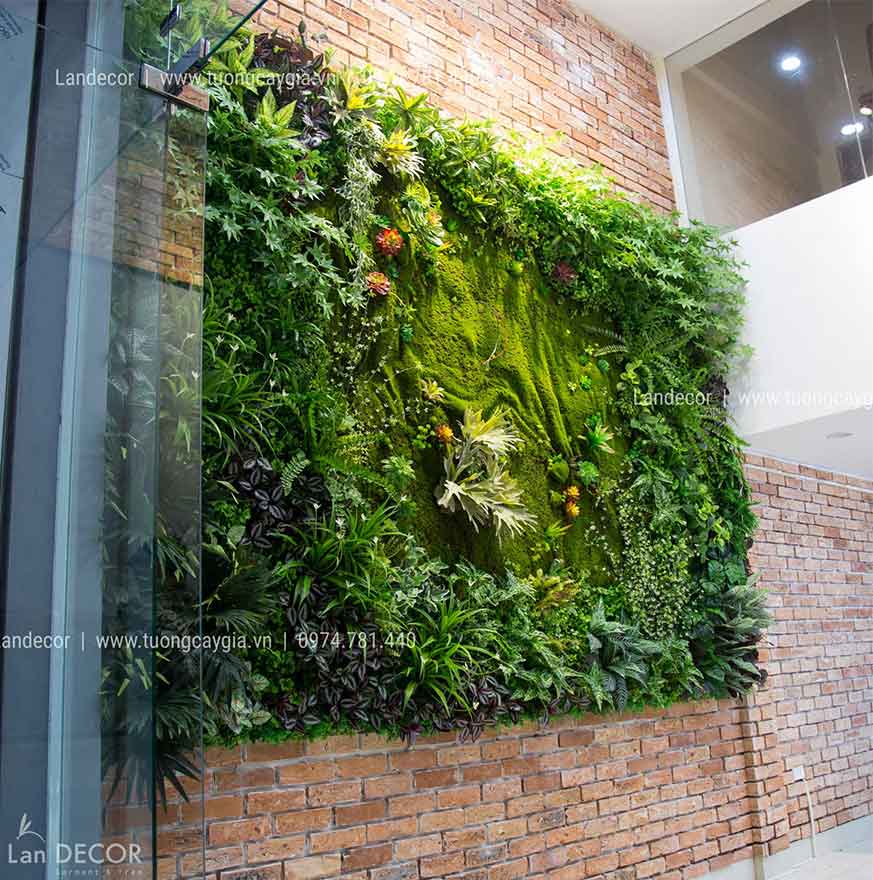 CÔNG TRÌNH TƯỜNG CÂY CỬA HÀNG MAC 24H THÁI HÀ- TC304