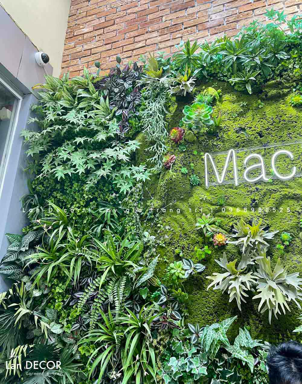 CÔNG TRÌNH TƯỜNG CÂY CỬA HÀNG MAC 24H THÁI HÀ- TC304