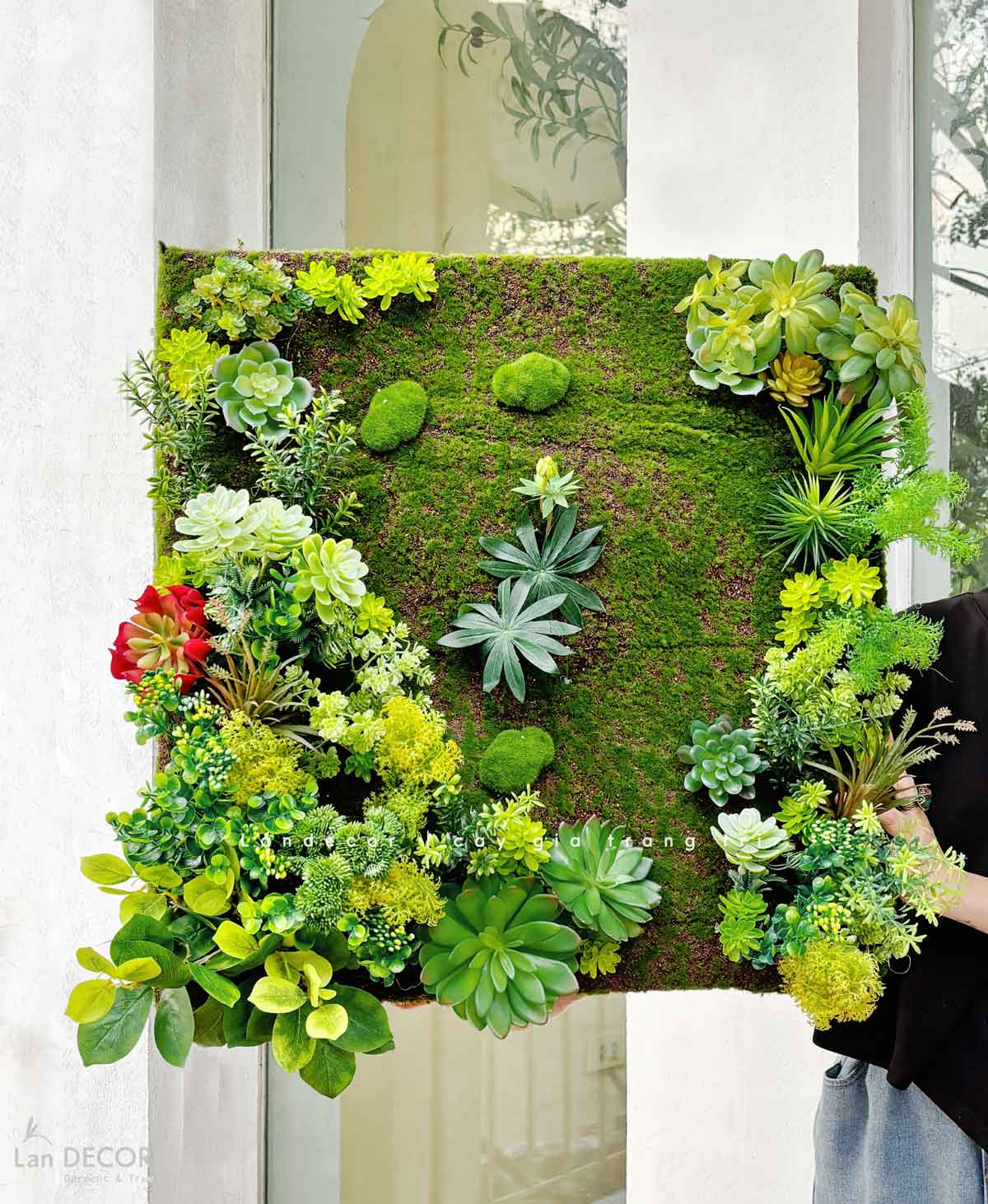 Tranh Rêu Thiết Kế- Tranh Rêu Treo Tường Trang Trí Không Gian, Điểm Nhấn Độc Đáo (60x60cm)- KTR019