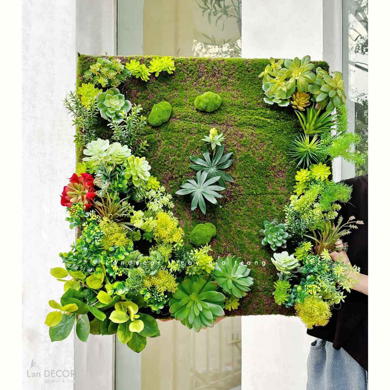 Tranh Rêu Thiết Kế- Tranh Rêu Treo Tường Trang Trí Không Gian, Điểm Nhấn Độc Đáo (60x60cm)- KTR019