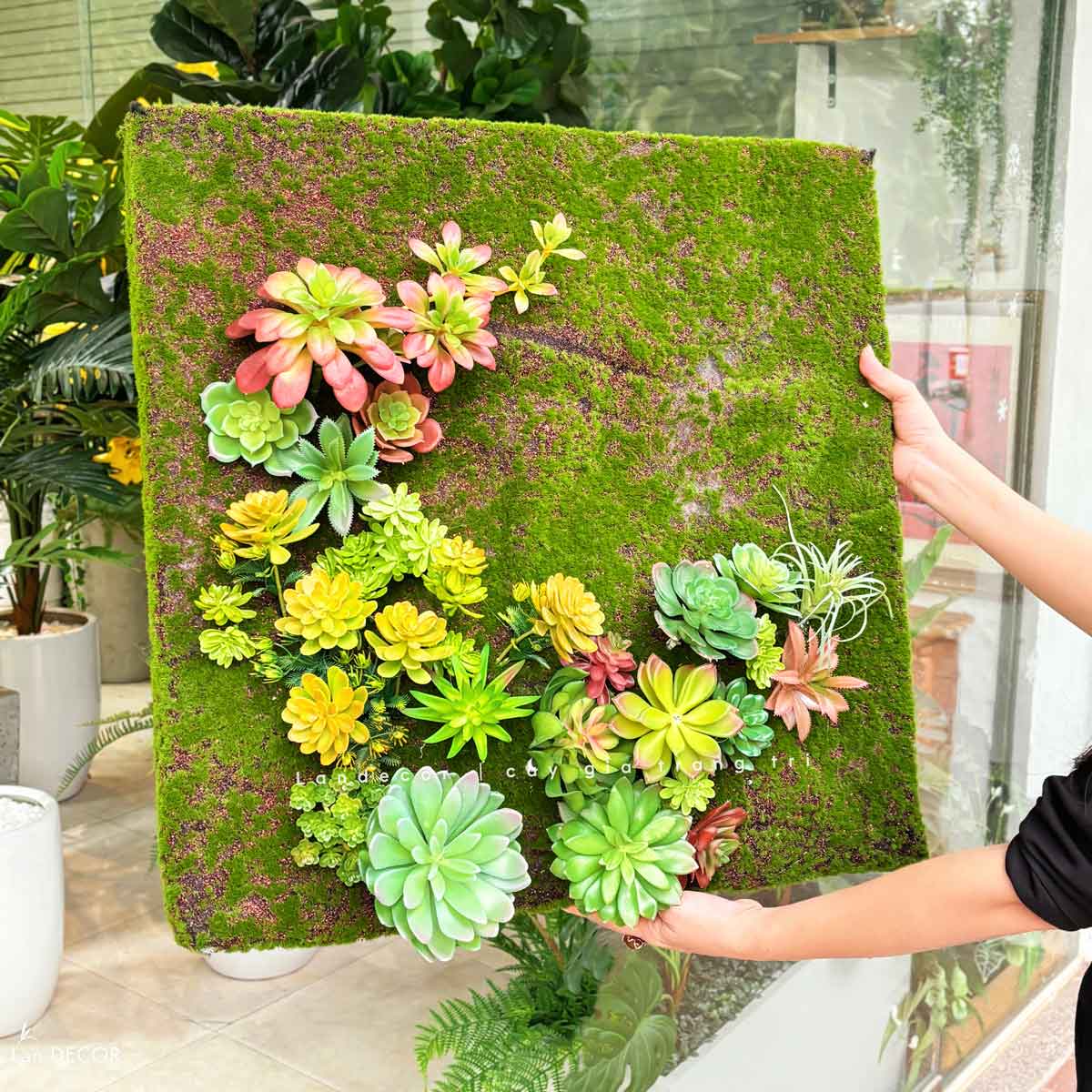 Tranh Rêu Thiết Kế- Tranh Rêu Treo Tường Trang Trí Không Gian, Điểm Nhấn Độc Đáo (60x60cm)- KTR019