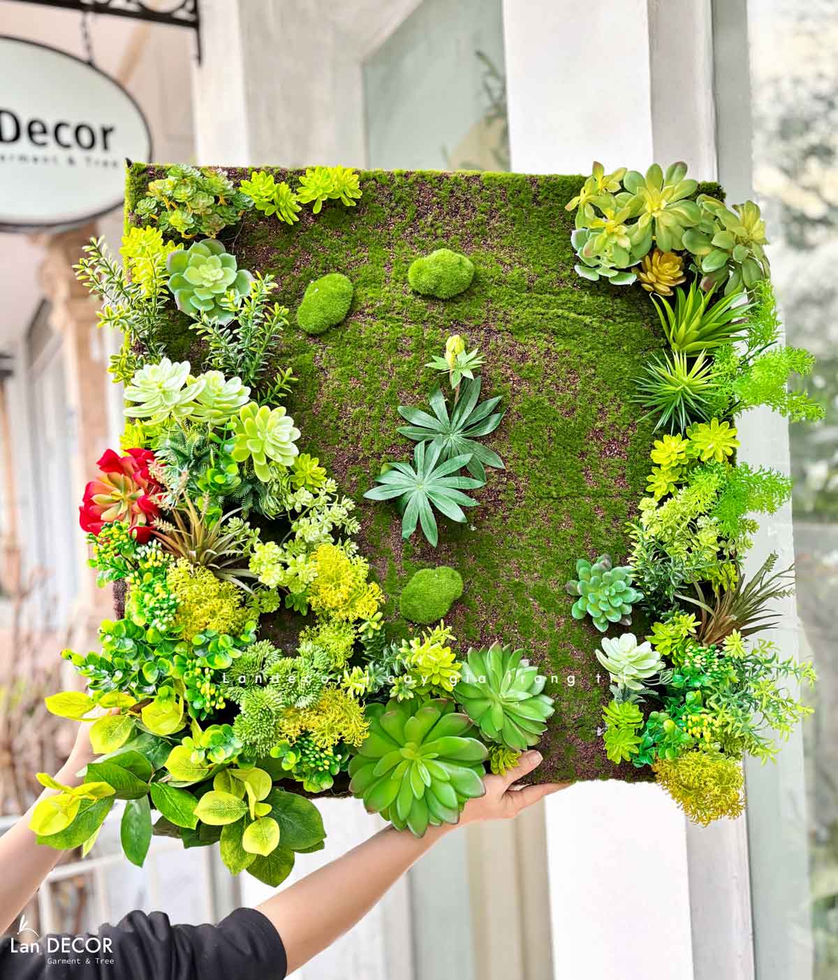 Tranh Rêu Thiết Kế- Tranh Rêu Treo Tường Trang Trí Không Gian, Điểm Nhấn Độc Đáo (60x60cm)- KTR019