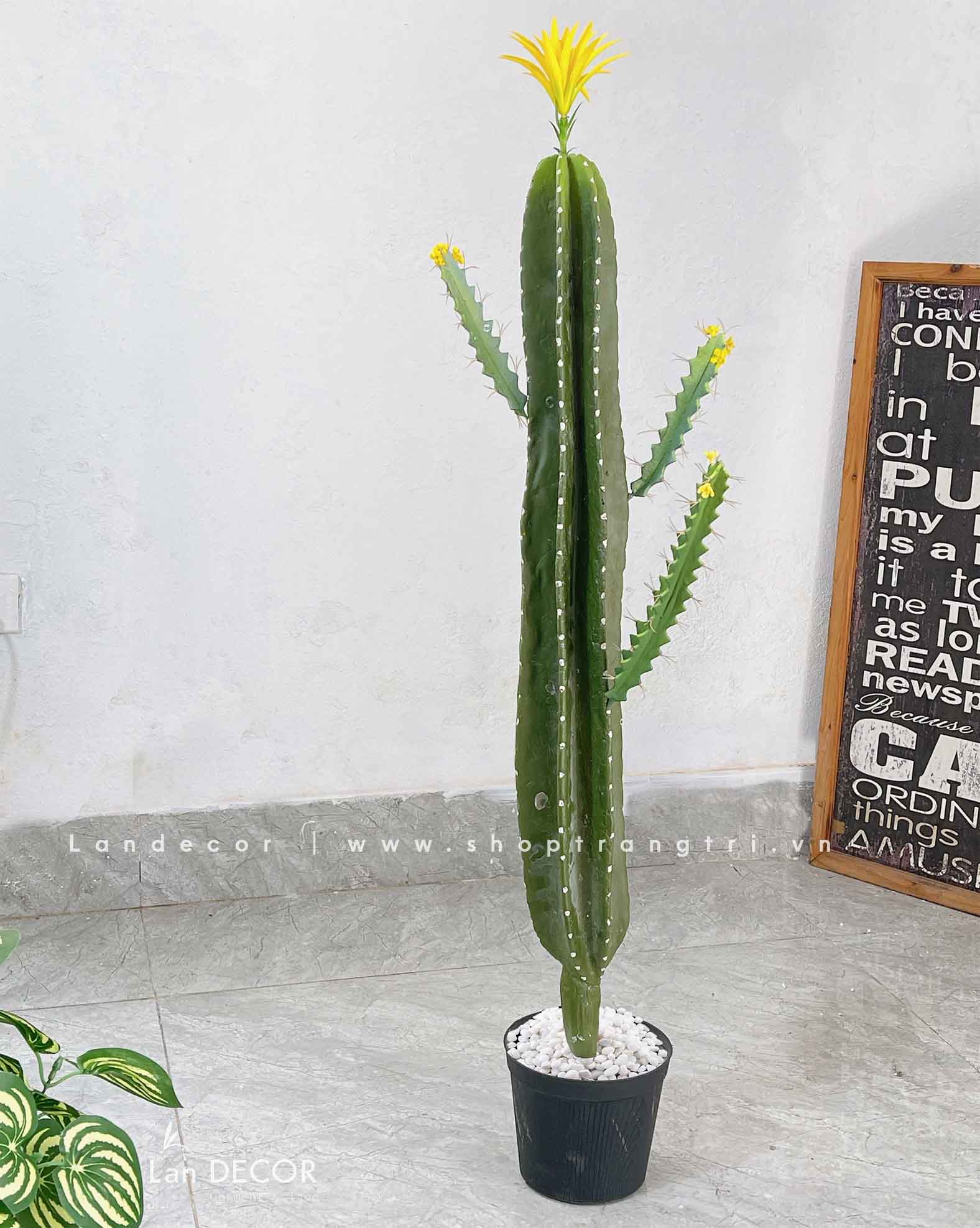 TỔNG HỢP CÁC MẪU XƯƠNG RỒNG DECOR QUÁN CAFE, VĂN PHÒNG