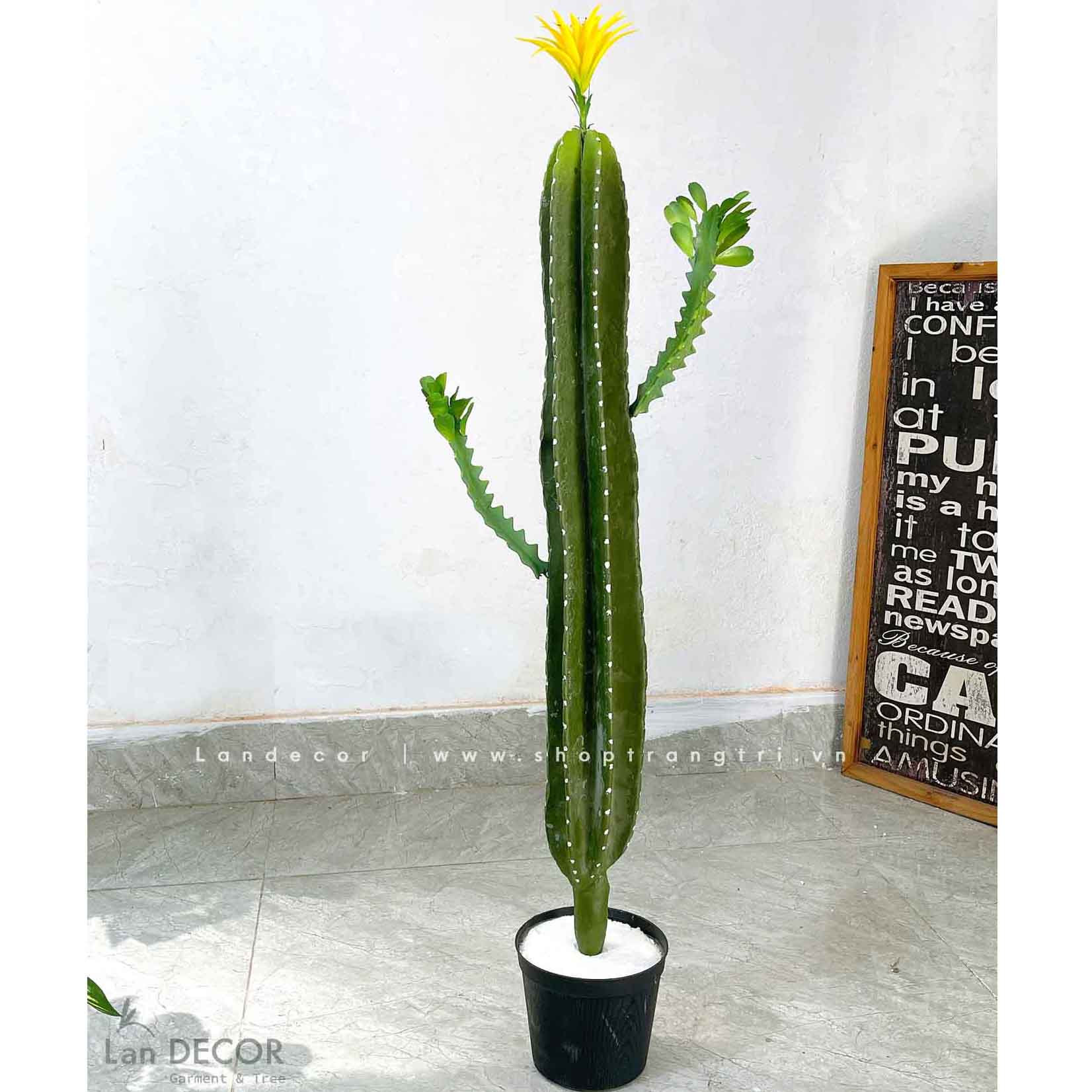 Xương Rồng Giả- Cây Xương Rồng Phong Cách Hiện Đại - HC1093-MIX1