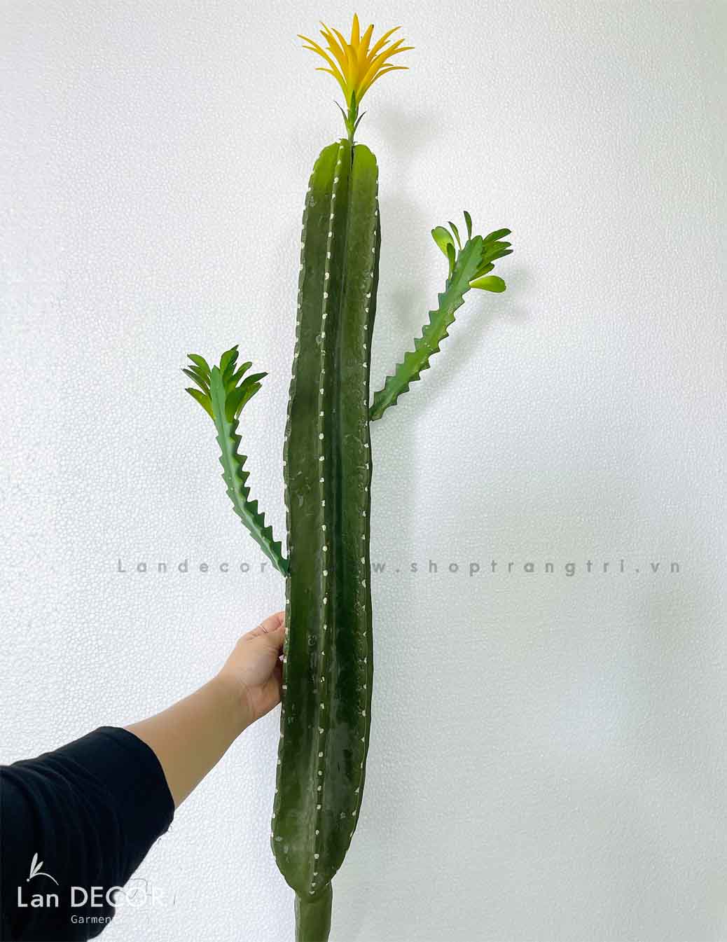 Xương Rồng Giả- Cây Xương Rồng Phong Cách Hiện Đại - HC1093-MIX1