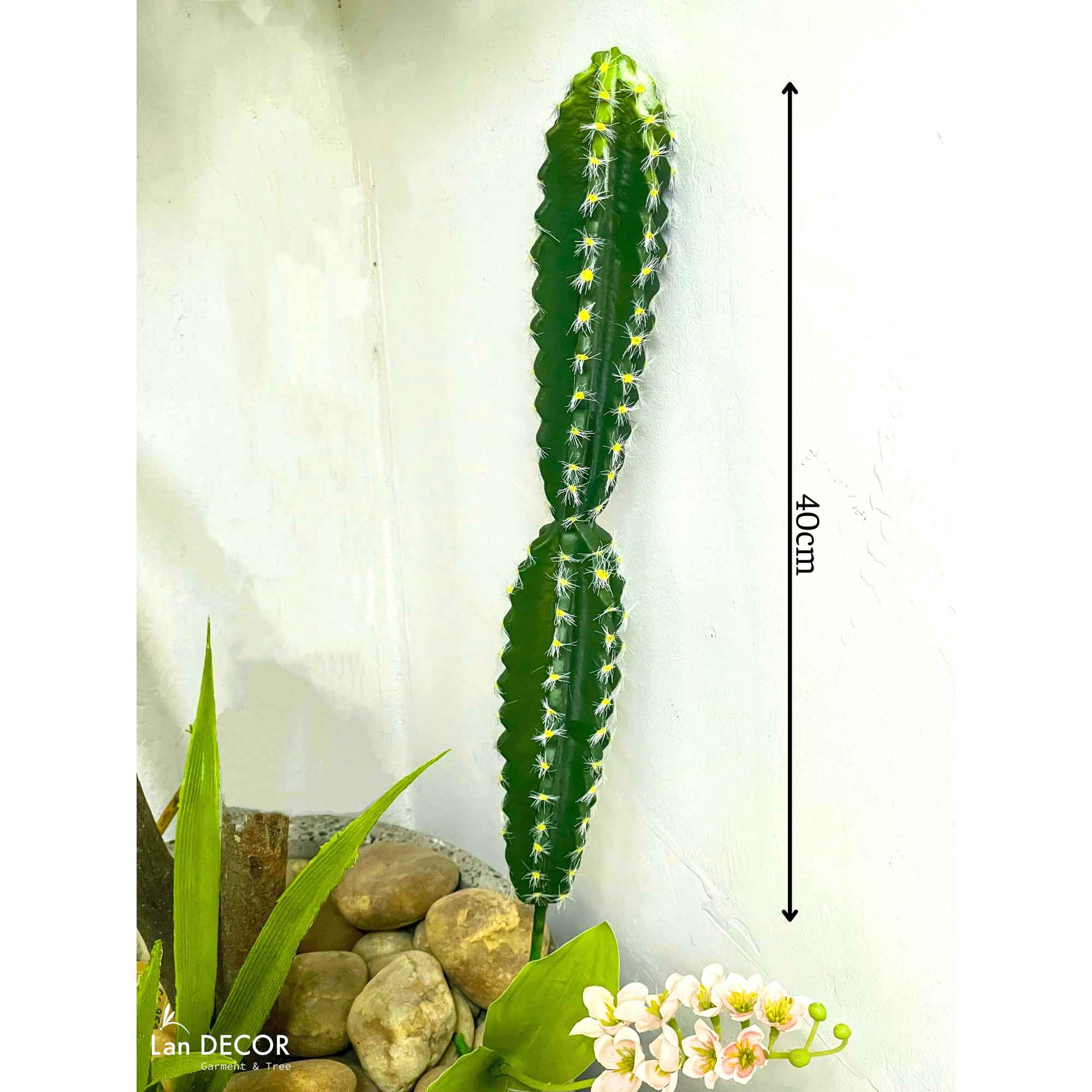 TỔNG HỢP CÁC MẪU XƯƠNG RỒNG DECOR QUÁN CAFE, VĂN PHÒNG