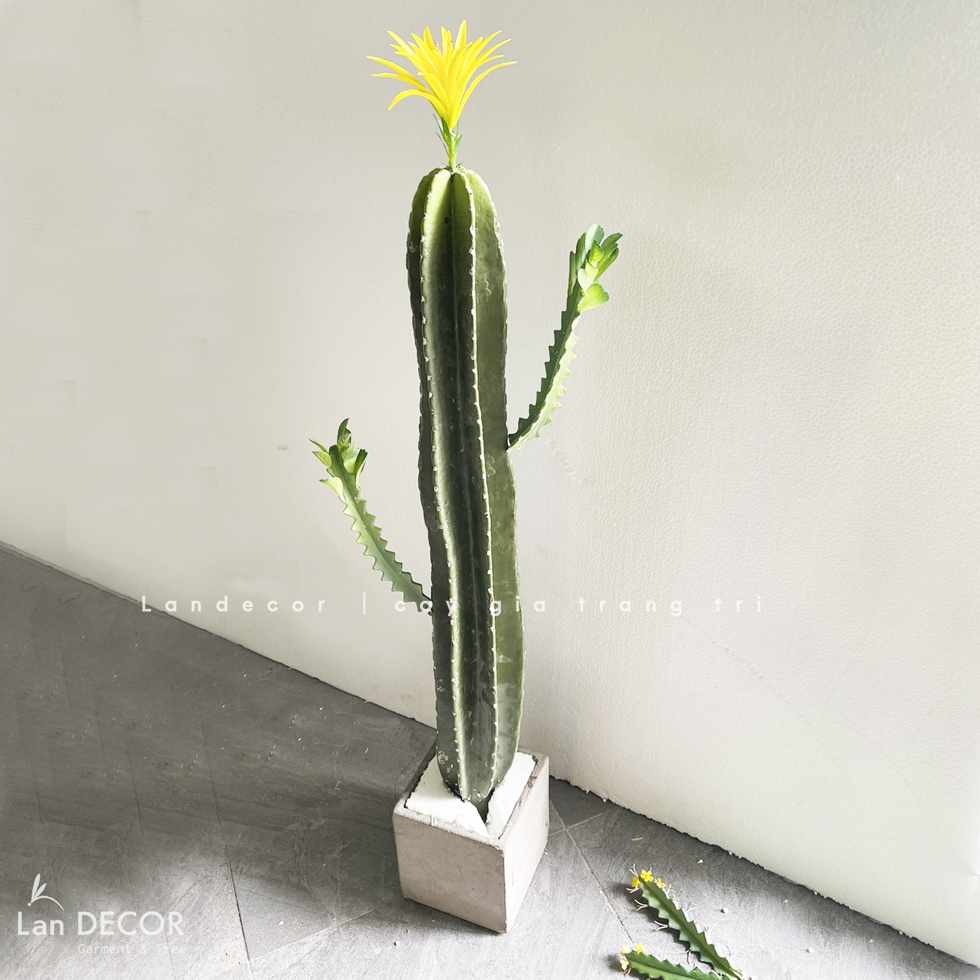 Xương Rồng Giả- Cây Xương Rồng Phong Cách Hiện Đại - HC1093-MIX1