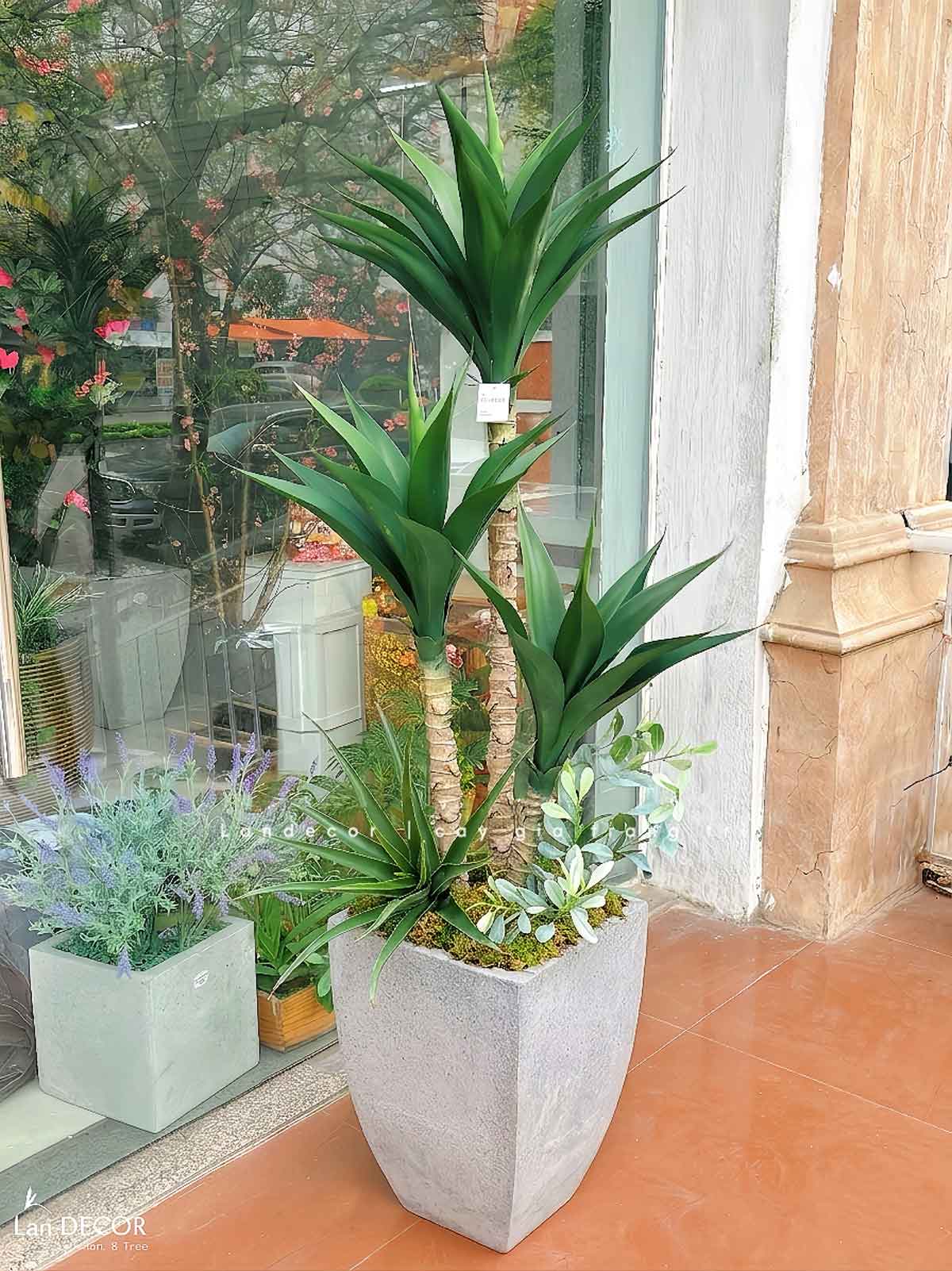 Cây Giả Tiểu Cảnh- Cây Yucca Giả Trang Trí Tiểu Cảnh Xương Rồng Độc Đáo (120cm)- LC3541