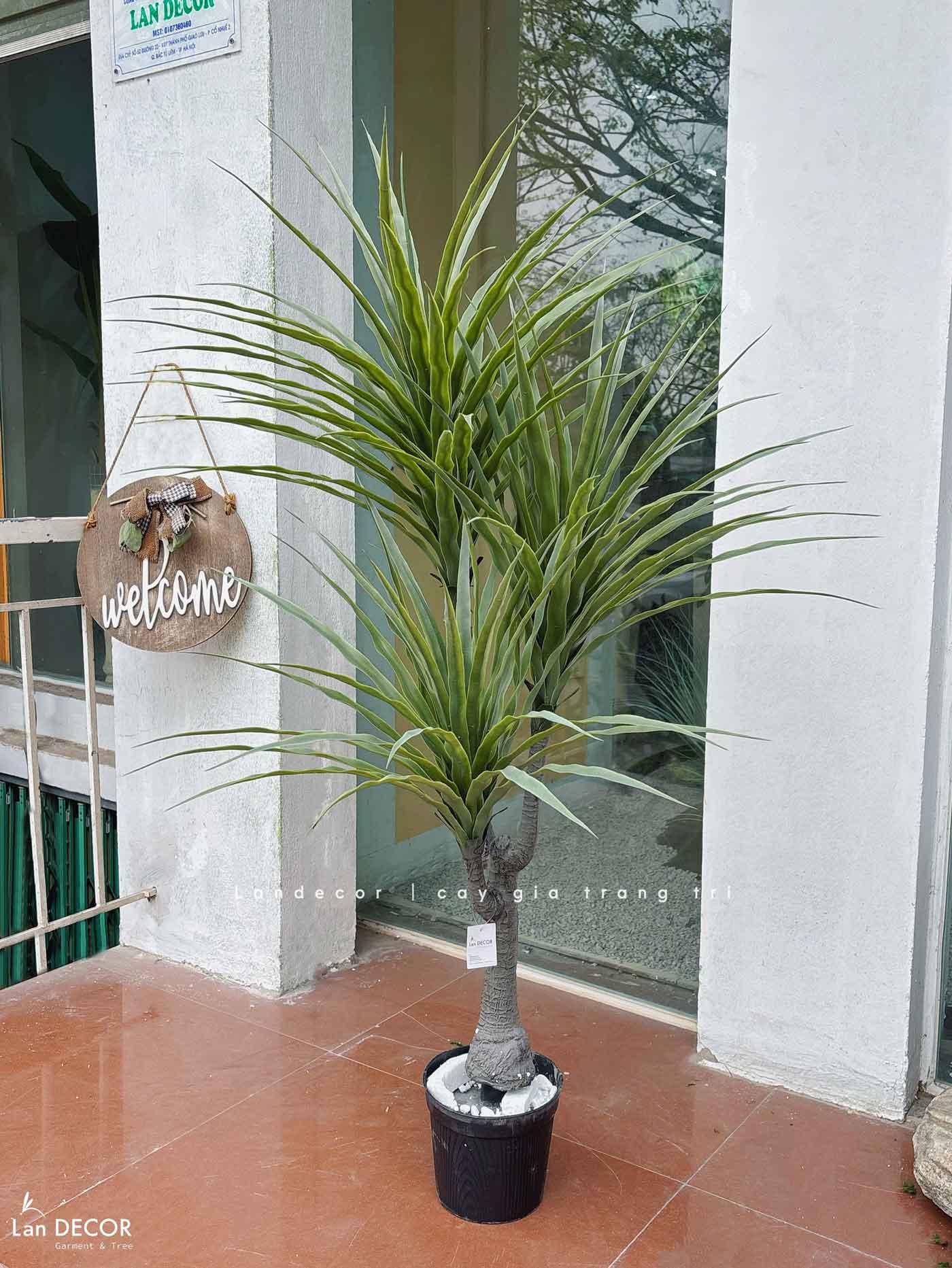 Cây Giả- Cây Yucca Giả Thiết Kế Không Gian Xanh (135cm)- LC3357