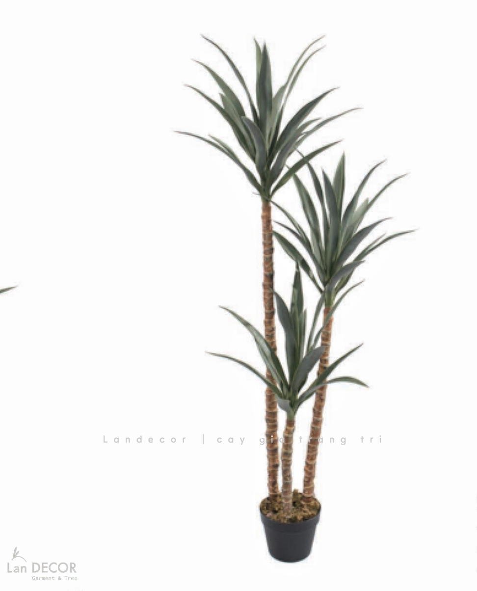 Cây Giả Tiểu Cảnh- Cây Yucca Giả Trang Trí Cửa Hiệu Độc Đáo (160cm)- LC3866
