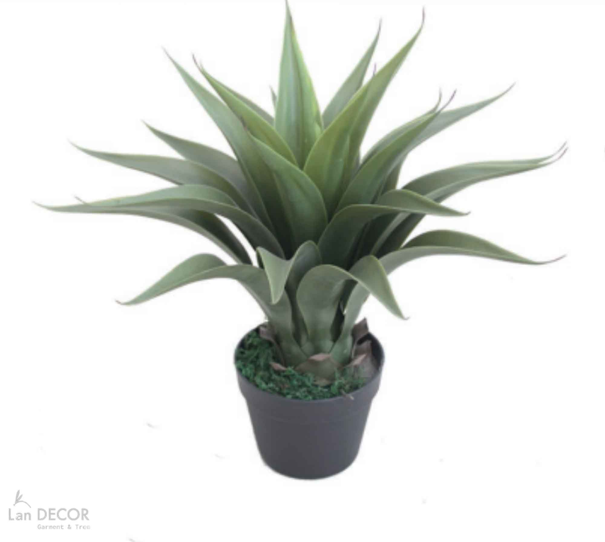 Cây Giả Trang Trí- Cây Yucca Giả Decor Tiểu Cảnh (60cm)- LC3073