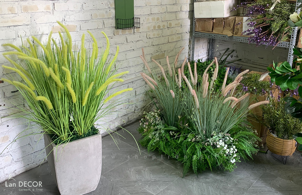 Bồn tiểu cảnh cỏ đuôi chồn Landecor trang trí nhà đẹp - BC070