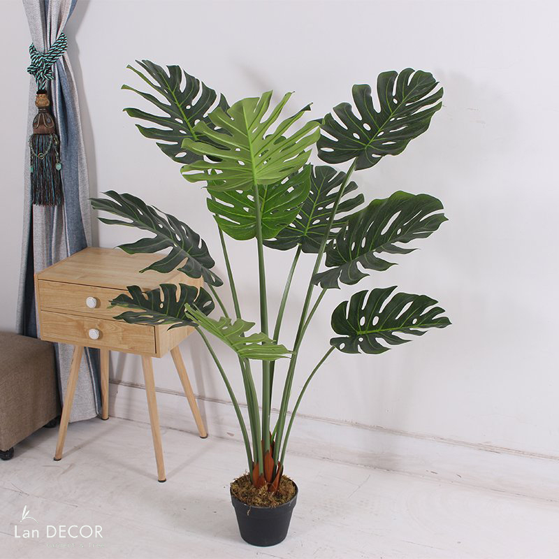 Cây Giả Decor - Cây Monstera Trang Trí Nhà Đẹp Landecor (85cm) - LC3057
