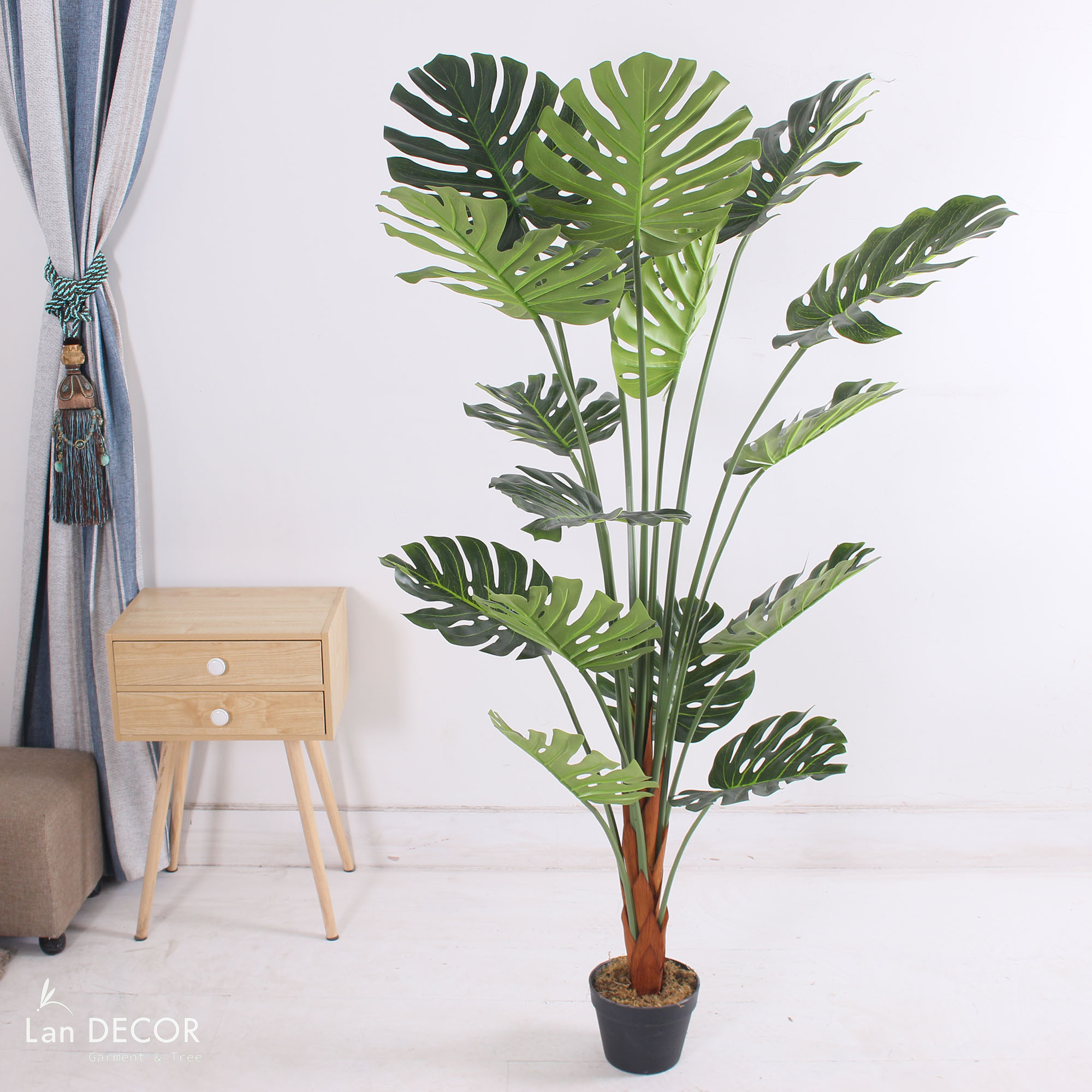 Cây Monstera trang trí nhà đẹp Landecor (150cm) - LC3058