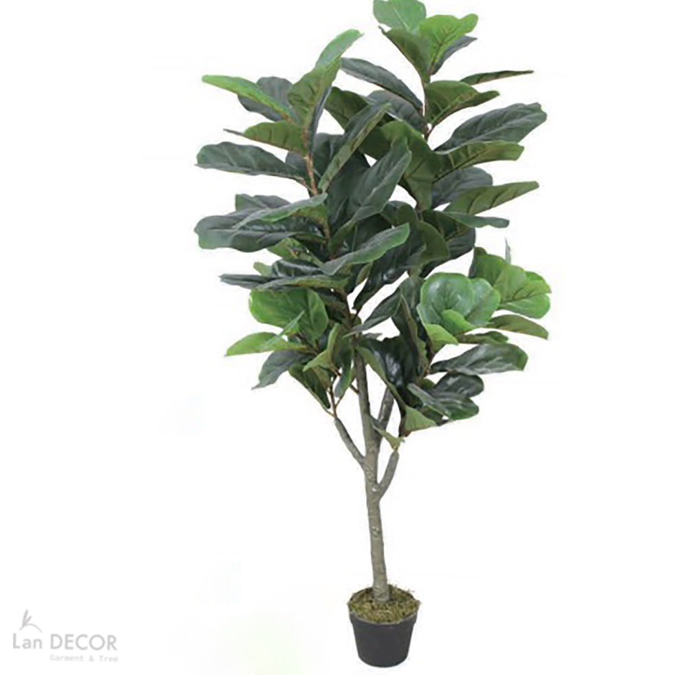 Cây bàng Sing trang trí Landecor ( 145cm) - LC3173