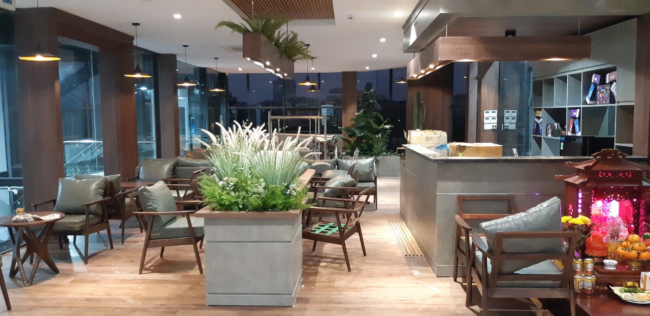 BỒN CỎ ĐUÔI CHỒN TRANG TRÍ KHÔNG GIAN XANH LAN DECOR - BC053