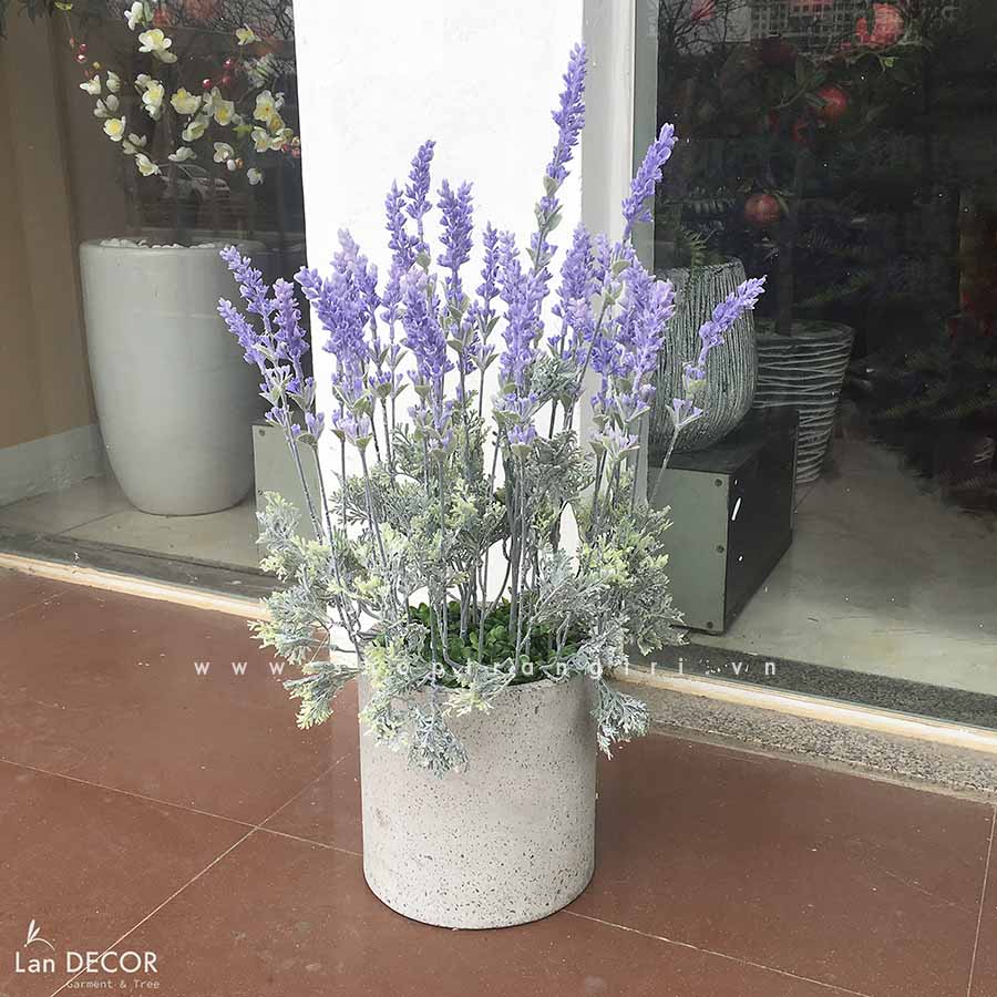 Chậu hoa oải hương lá mốc trang trí nhà xinh Landecor - CC410