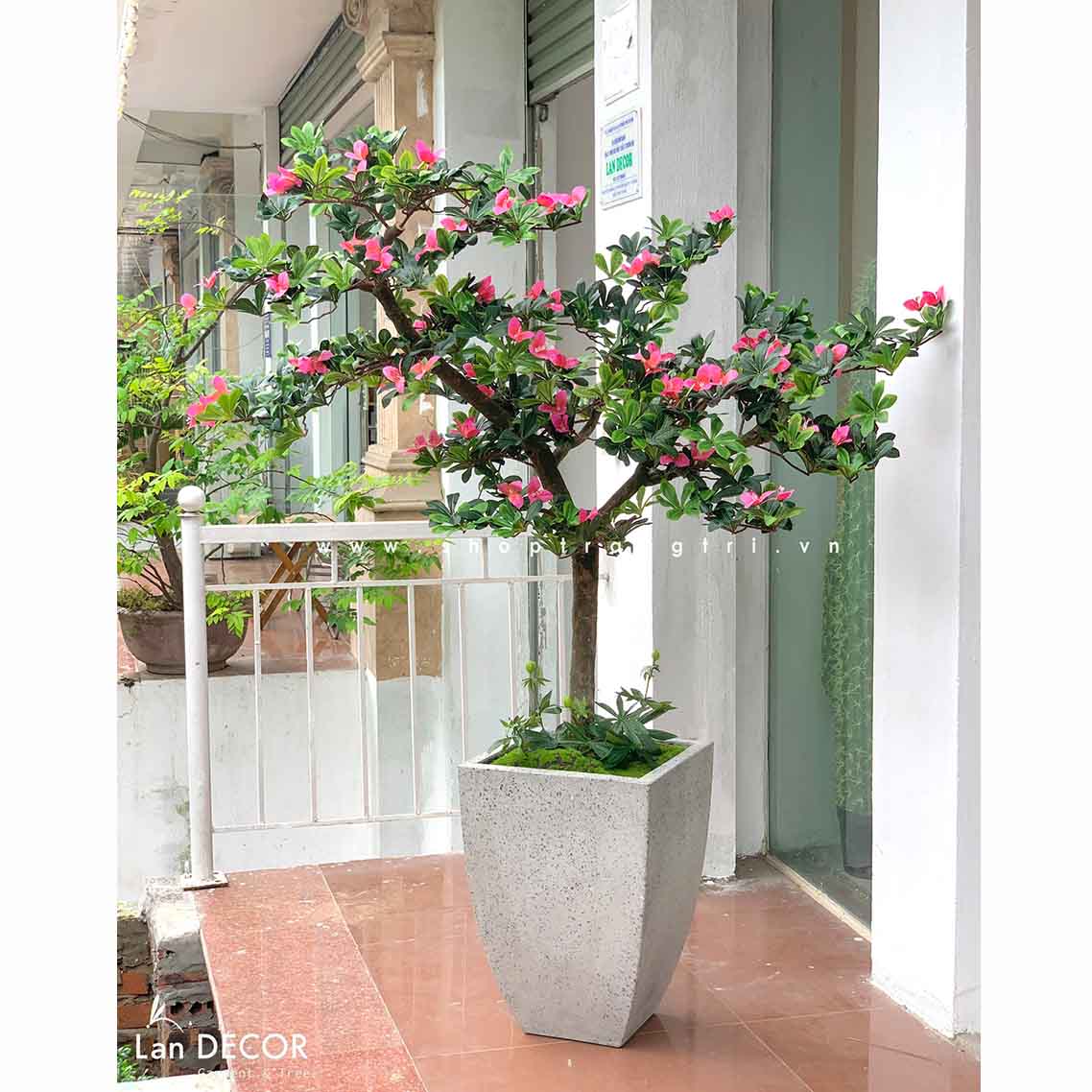 Cây hoa Đỗ Quyên cảnh trang trí LanDecor (180cm) - LC2450 mix