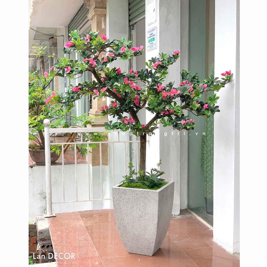 Cây hoa Đỗ Quyên cảnh trang trí LanDecor (165cm) - LC2450 mix