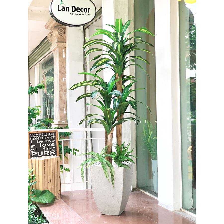 Cây thiết mộc lan tiểu cảnh trang trí nội thất hiện đại Lan Decor (180cm) - LC2855 MIX-1