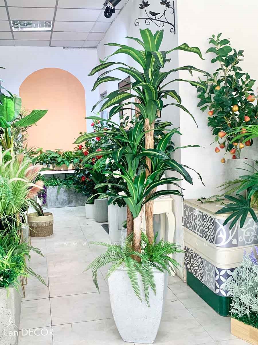 Cây thiết mộc lan trang trí nội thất hiện đại sang trọng Lan Decor (160cm) - LC2855