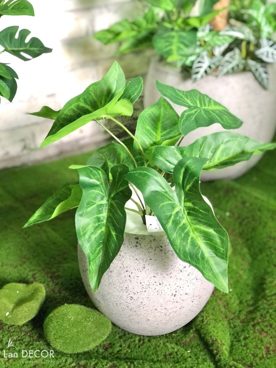 CÂY LÁ MÔN TRANG TRÍ NHÀ ĐẸP (40cm) - LC3258